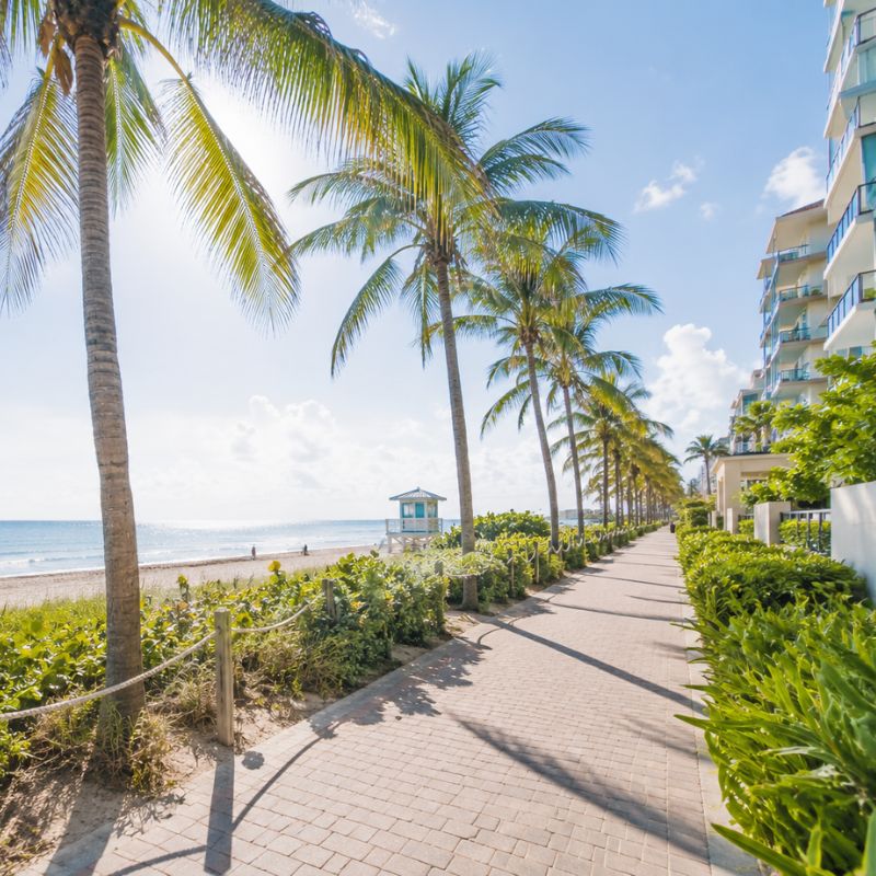 Realty One Group Evolution | Playa